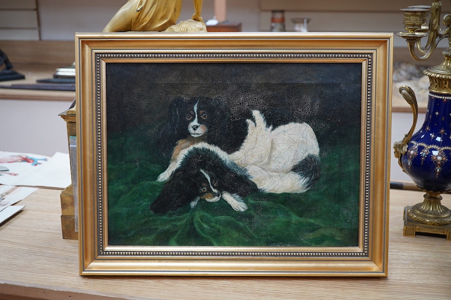 Victorian School, oil on canvas, Study of two Cavalier King Charles Spaniels, unsigned, 28 x 38cm, gilt framed. Condition - poor to fair, craquelure throughout